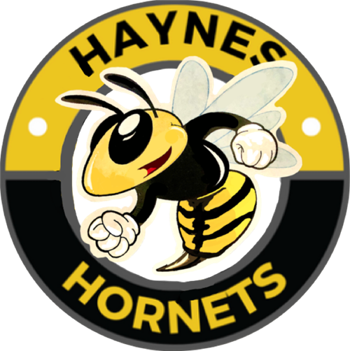 Haynes Circular Hornet Logo